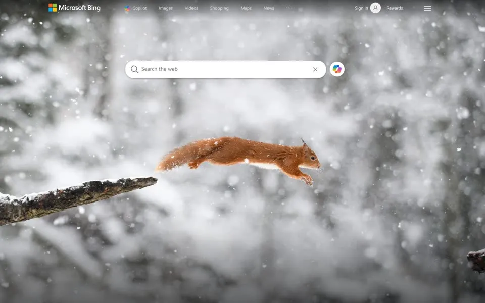 bing.com homepage in 2024