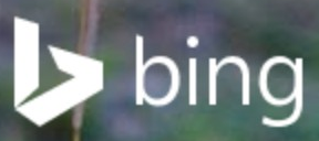 Bing logo on the 2014 bing.com homepage: A faceted 'b' symbol joins the lowercase wordmark