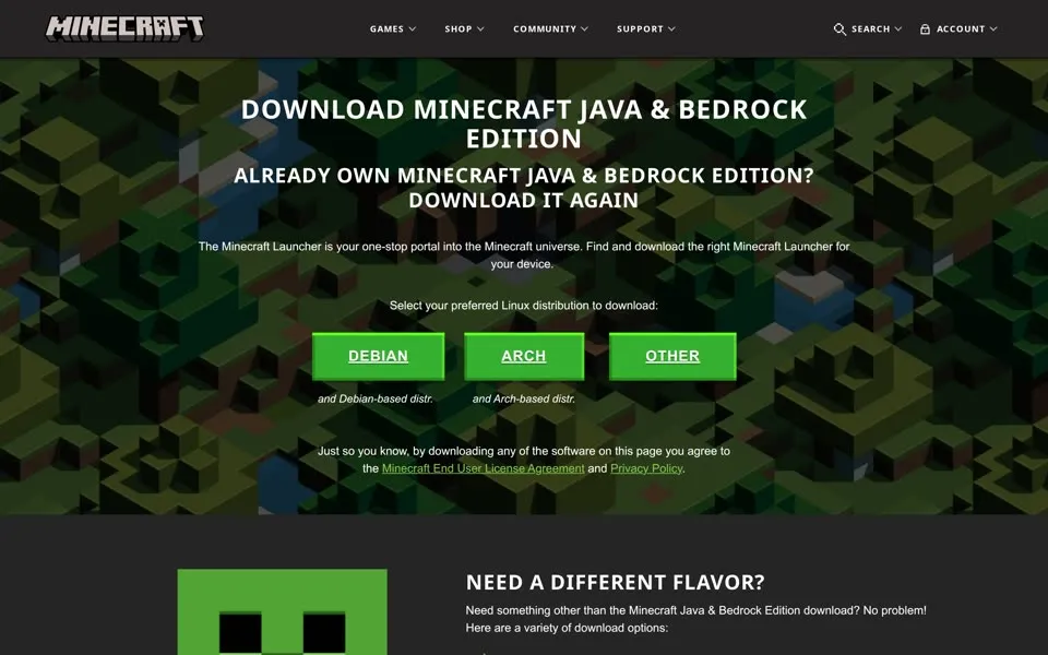 minecraft.net download page, January 1, 2025