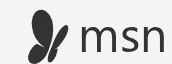 MSN logo on the 2015 msn.com homepage: flat dark-grey butterfly and msn, colour gone (after the September 2014 relaunch)