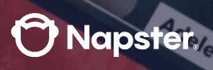 Napster logo on the 2022 napster.com homepage: White cat outline without eyes or a mouth, beside an upright Napster wordmark with a capital N.
