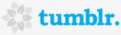 Tumblr logo on the 2007 tumblr.com homepage: blue wordmark with a grey flower symbol