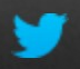 Twitter logo on the 2012 twitter.com homepage: wordmark dropped; the simplified bird alone, in Twitter blue